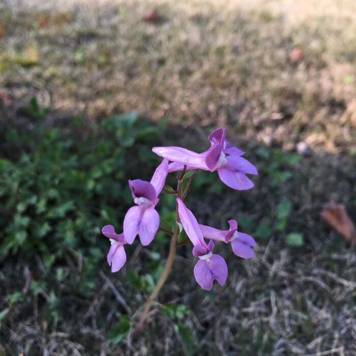 ΢ňDƬ_20180327143446.jpg